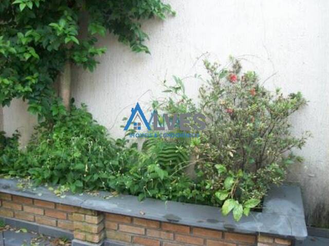 Casa para Locação em São Caetano do Sul - 4