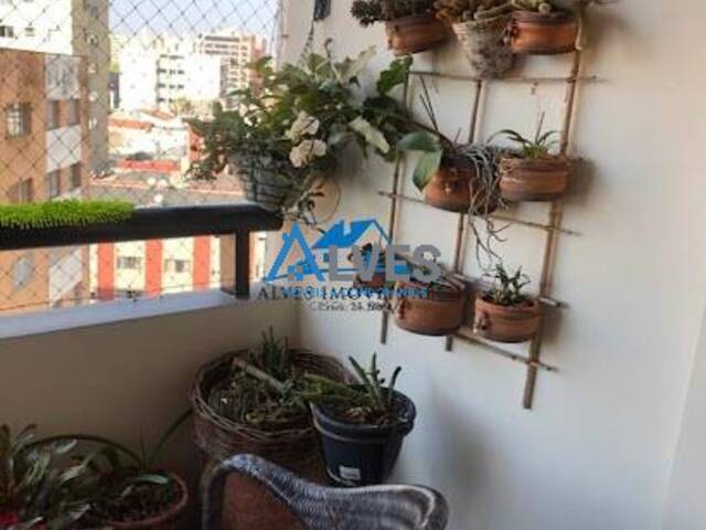 Apartamento para Venda em São Bernardo do Campo - 5