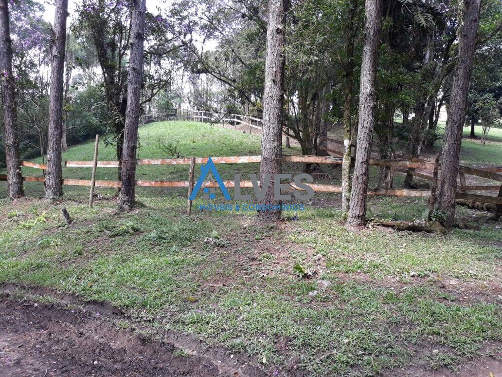 Casa, 3 quartos, 300 m² - Foto 14