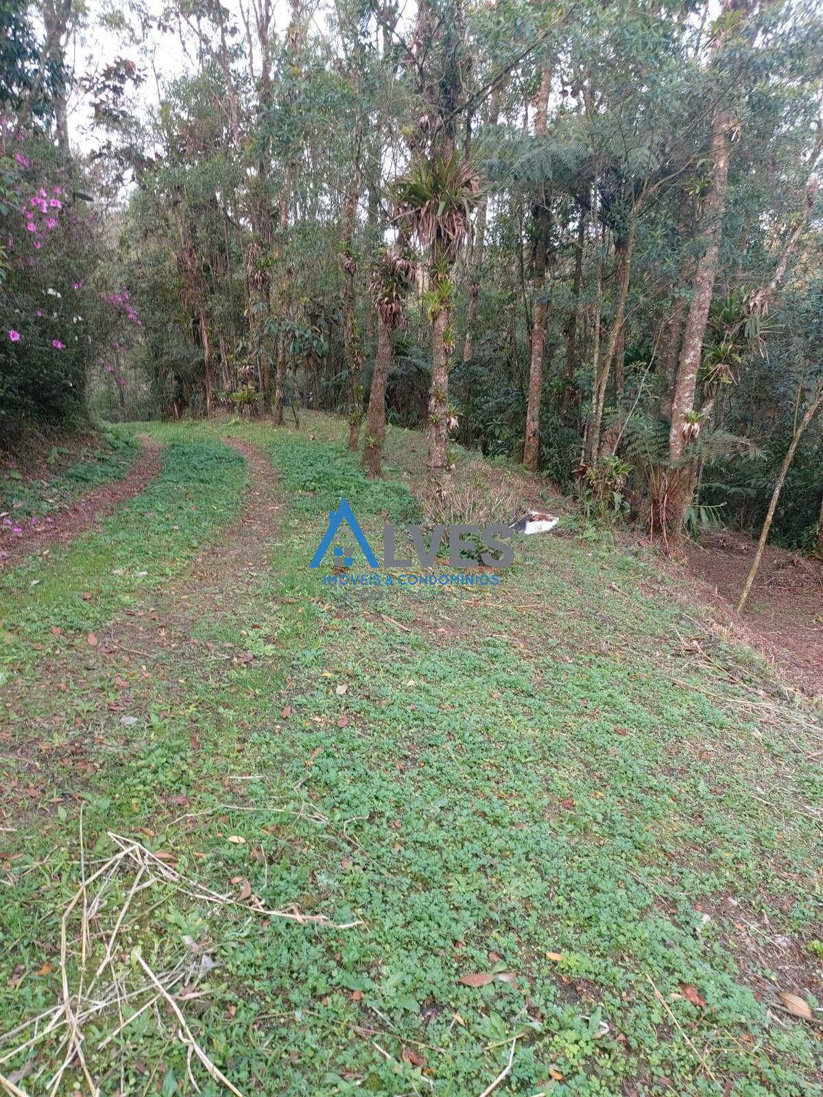 Casa, 3 quartos, 300 m² - Foto 15