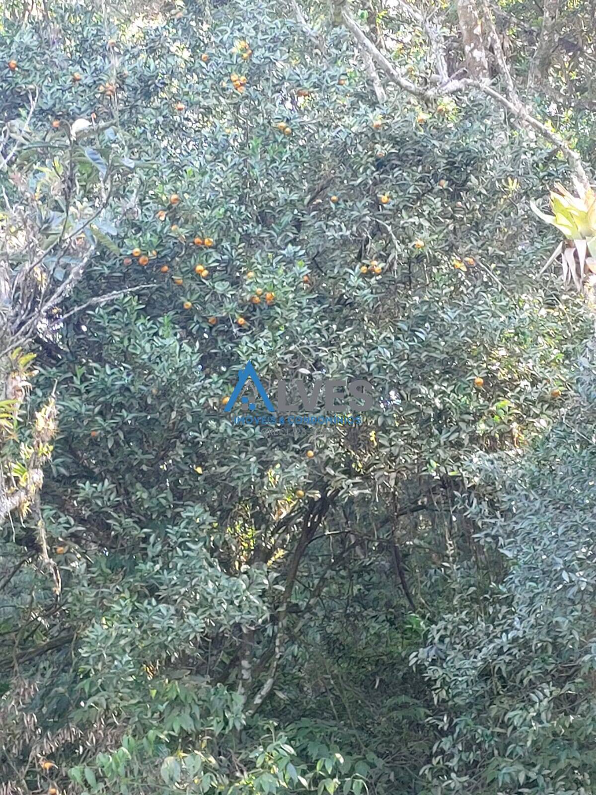 Casa, 3 quartos, 300 m² - Foto 20