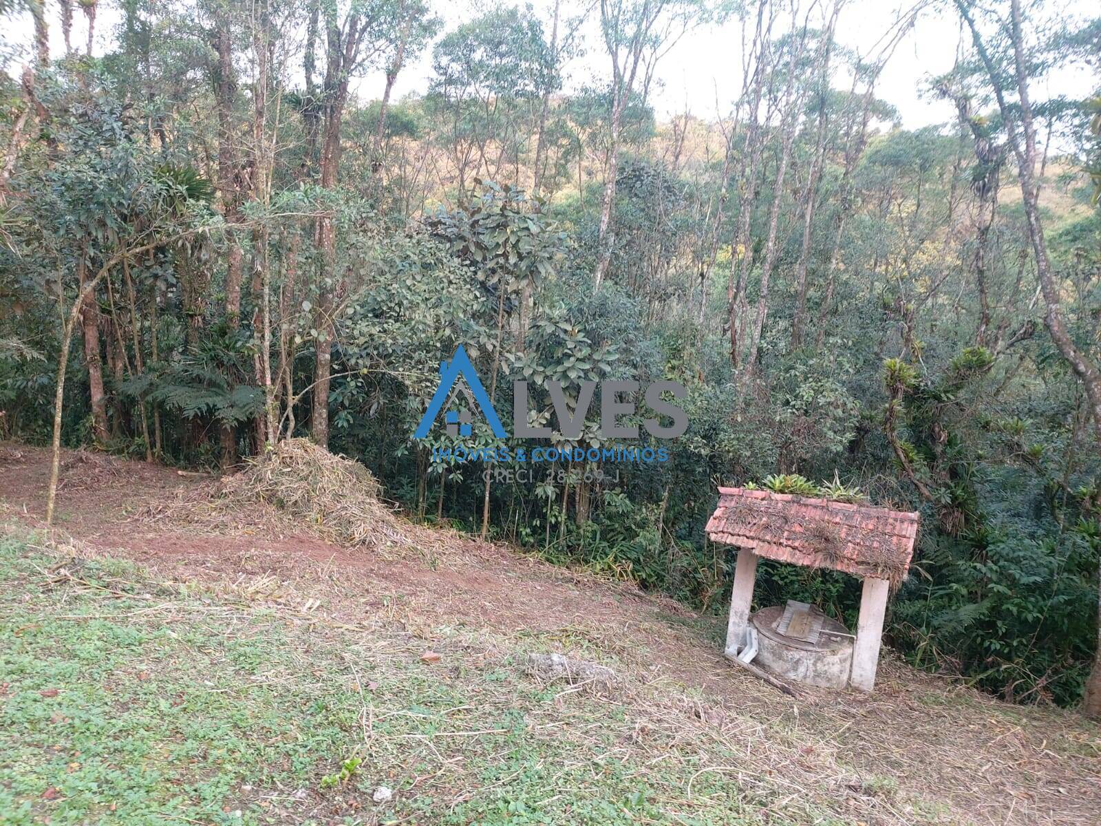 Casa, 3 quartos, 300 m² - Foto 24