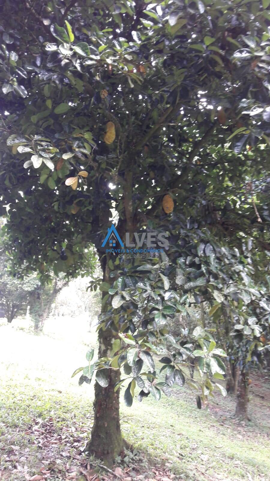 Casa, 3 quartos, 300 m² - Foto 23