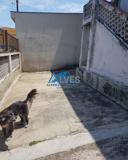 Casa, 5 quartos - Foto 5