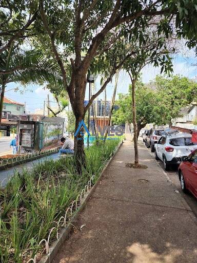 Casa, 4 quartos, 300 m² - Foto 8